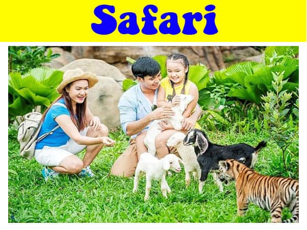 review-vuon-thu-safari-phu-quoc-chi-tiet-a-z-cuong-du-lich-com (11)