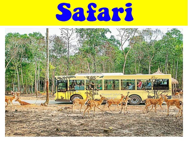 review-vuon-thu-safari-phu-quoc-chi-tiet-a-z-cuong-du-lich-com (5)
