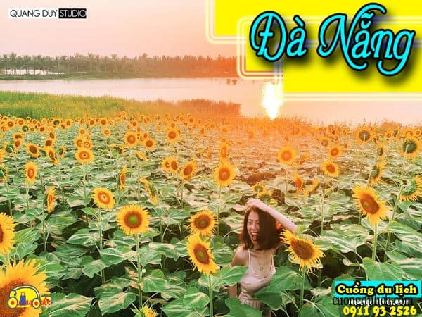 video-thuc-te-danh-sach-28-dia-dia-du-di-da-nang-hot-nhat-hien-nay (24)