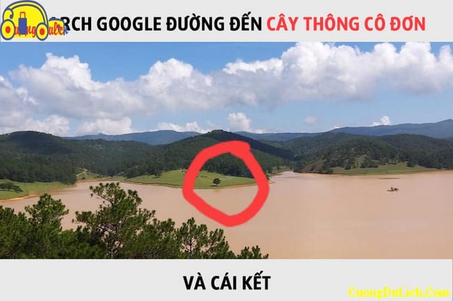 di-cay-thong-co-don-da-lat-cuongdulich-6