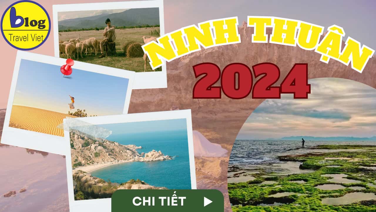 Xe Ninh Thuận đi Phú Giáo Bình Dương: Bao lâu tới nơi? Giá bao nhiêu?