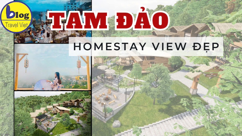 homestay-tam-dao11