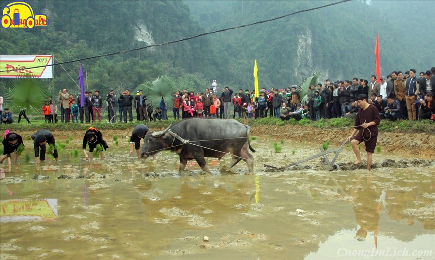 le-hoi-long-tong