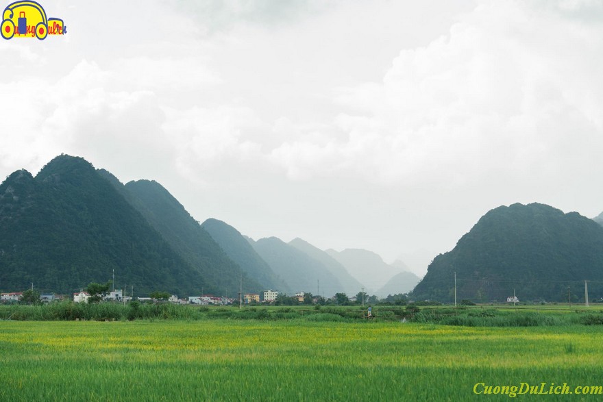 review-quynh-son-bac-son-2 review-quynh-son-bac-son-2