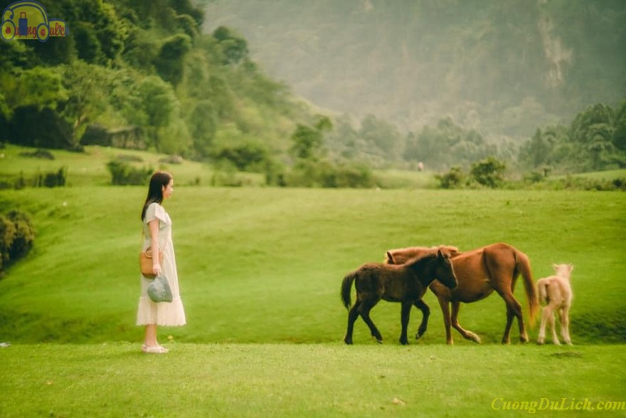 du-lich-lang-son-2-ngay-1-dem-1 du-lich-lang-son-2-ngay-1-dem-1