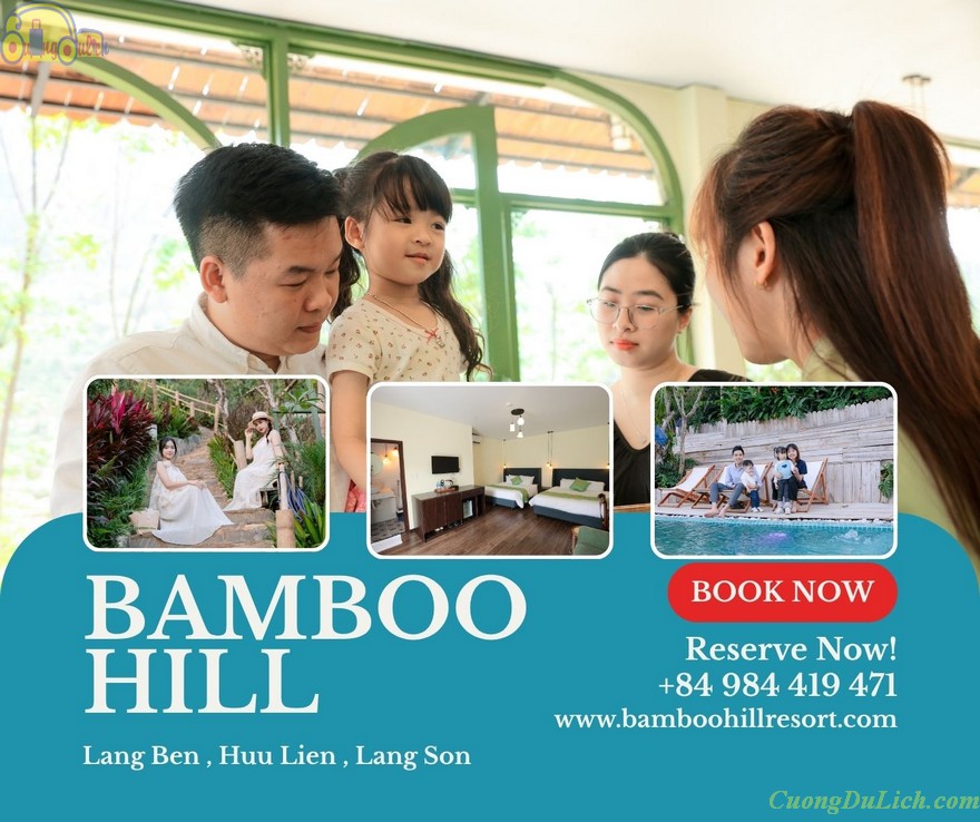 bamboo-hill-4