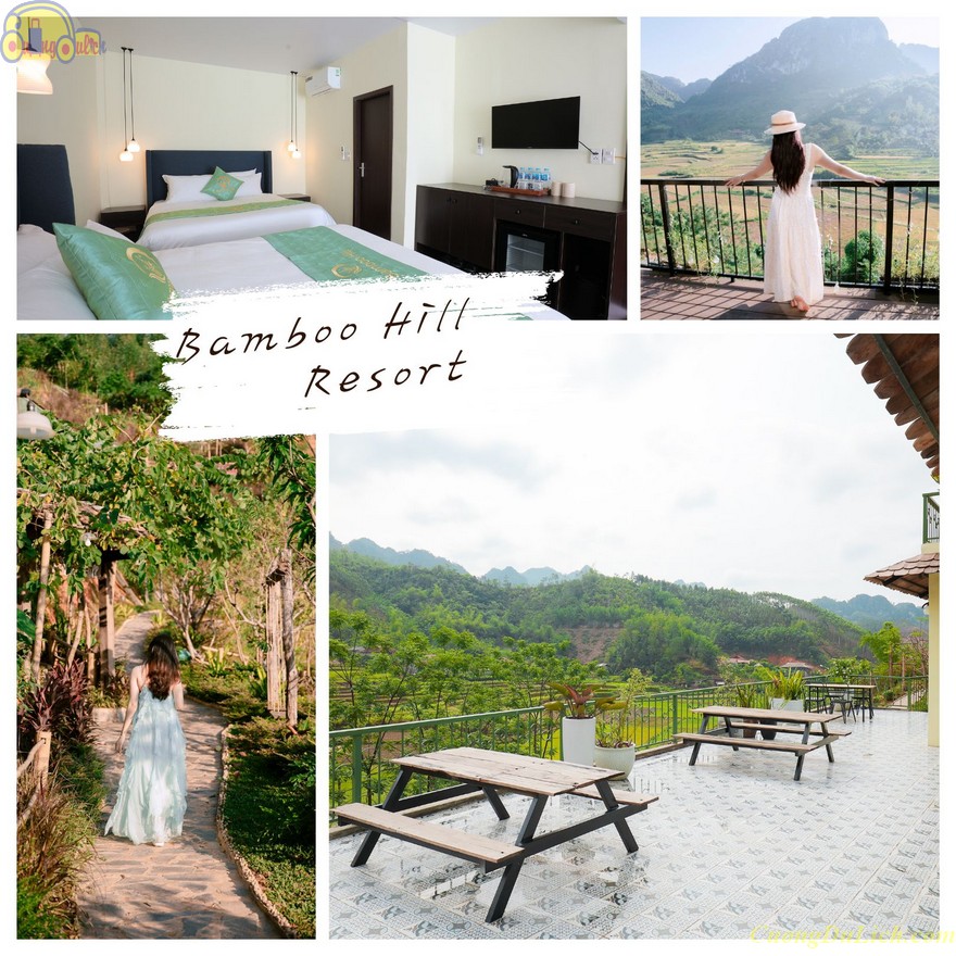 bamboo-hill-5 bamboo-hill-5