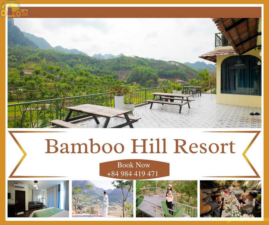 bamboo-hill-7
