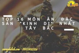 Top 15 món ăn đặc sản Top 15 món ăn đặc sản