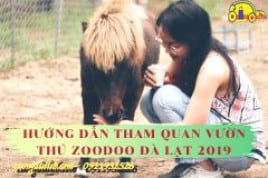 Hướng dẫn tham quan vườn thú zoodoo Đà Lạt 2023