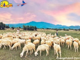 HƯỚNG DẪN đi Đồng Cừu Suối Tiên từ Nha Trang Khánh Hòa