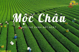 Cập nhật giá vé các địa điểm du lịch ở Mộc Châu năm nay