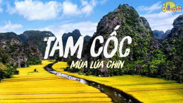 Cập nhật giá vé tham quan các địa điểm du lịch ở Ninh Bình