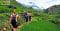 Tour trekking Ý Linh Hồ - Lao Chải - Tả Van 1 ngày (Khởi hành từ Ga Lào Cai)